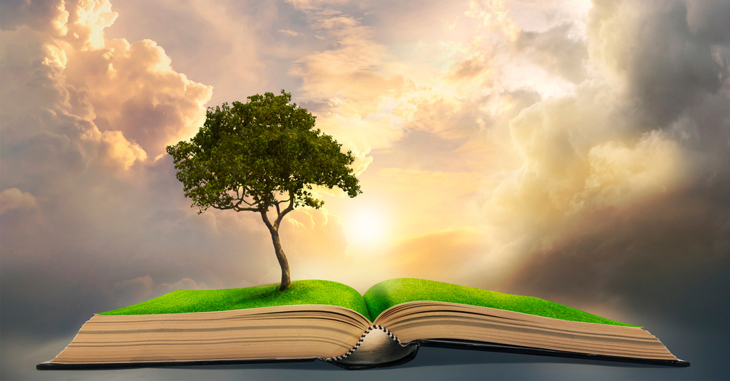 Wiseshallshine thumbnail