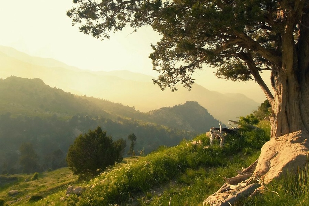 SERMO Nmount 2020 02 04 03 55 48 UTC