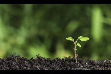 Humble beginnings1 170504 181436